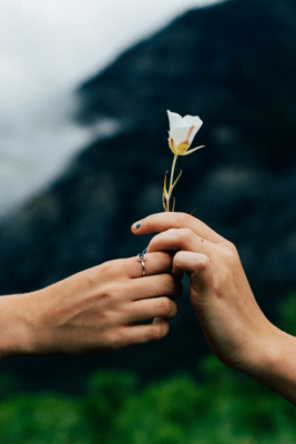Hand Giving Flower To Another Hand