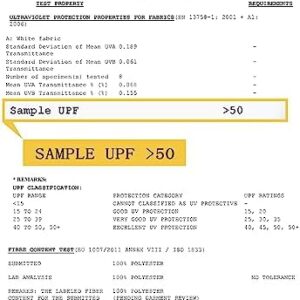 41nwzly3wml. Ac .jpg