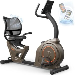 Niceday Indoor Recumbent Exercise Bike Workout Equipment For Home Gym