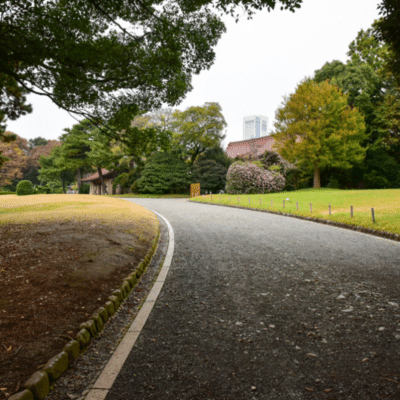 Running Path On Yoyogi Koen National Park